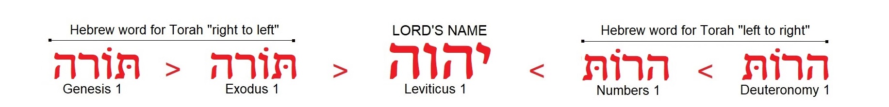 torah